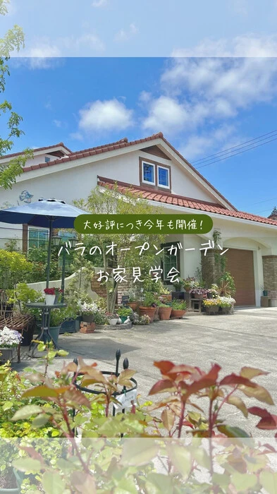 画像1323