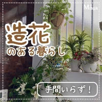 画像366