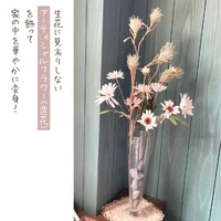 画像367