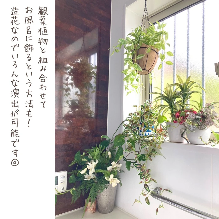画像369
