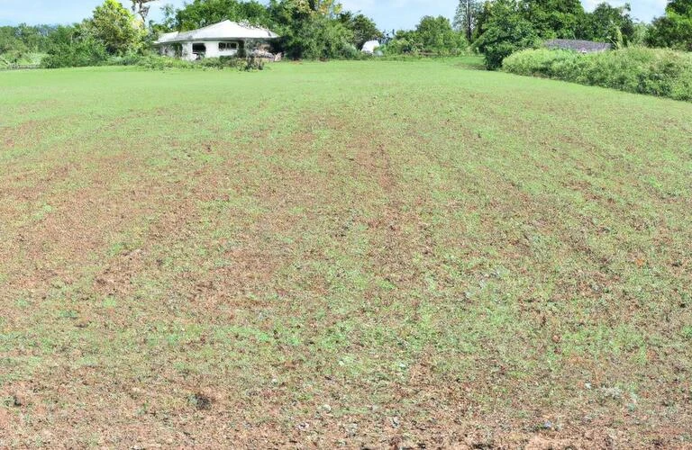 理想の土地選びから始める、心地よい住まいづくり【鳥取県米子市の工務店-Mogaハウス】